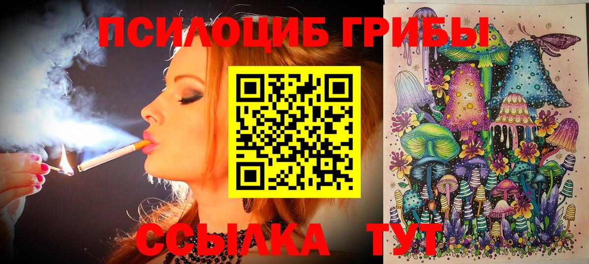 Галлюциногенные грибы прущие грибы Алексеевка