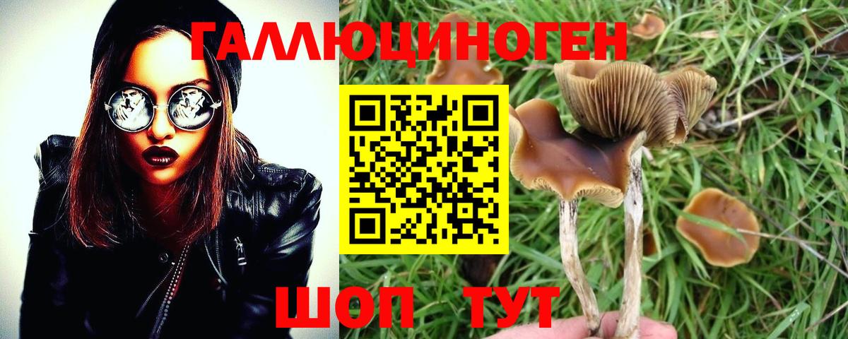 Псилоцибиновые грибы MAGIC MUSHROOMS  Галлюциногенные грибы прущие грибы  Алексеевка  Вход с VPN 