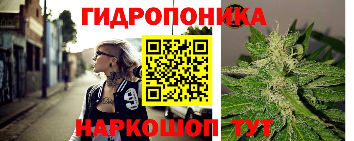 Галлюциногенные грибы Алексеевка